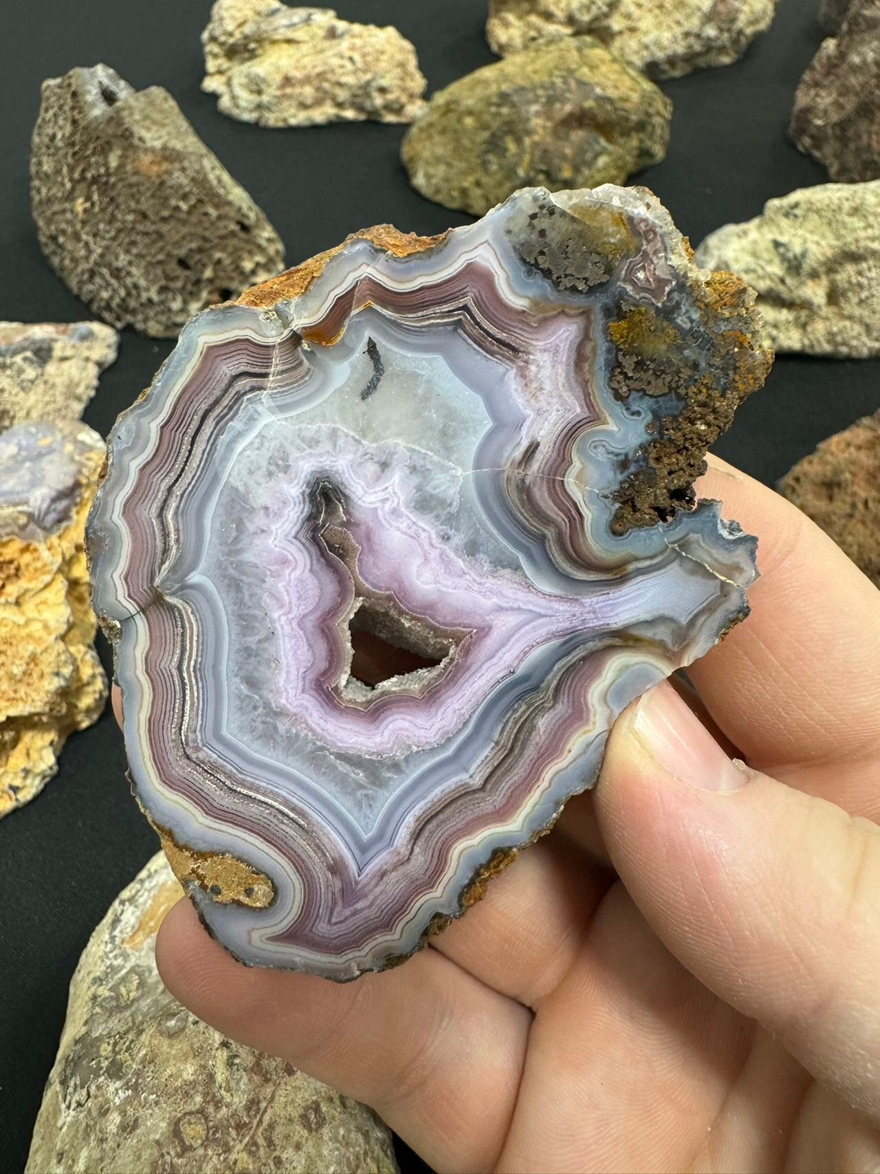 Image_20241107_130547_893