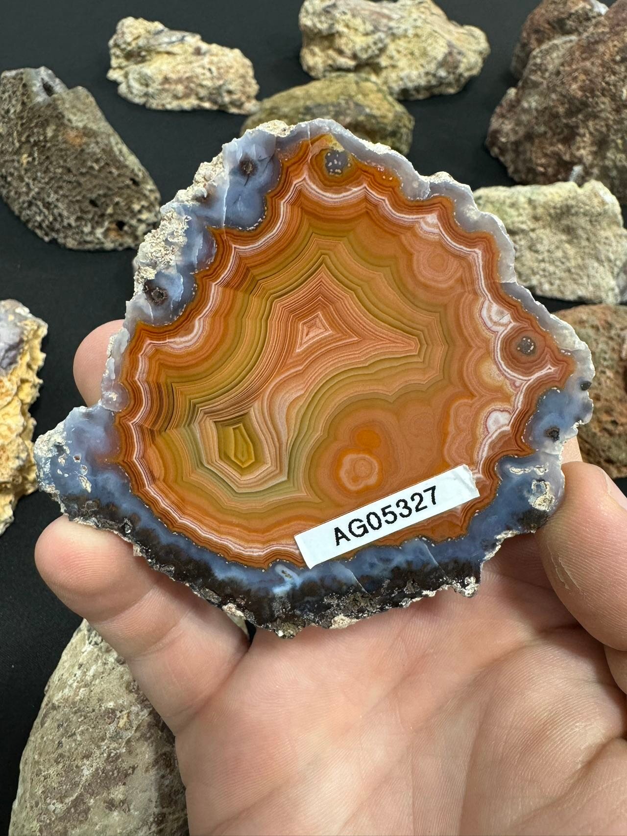 Image_20241107_130547_950